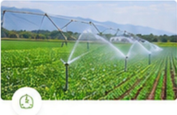 Irrigation Works