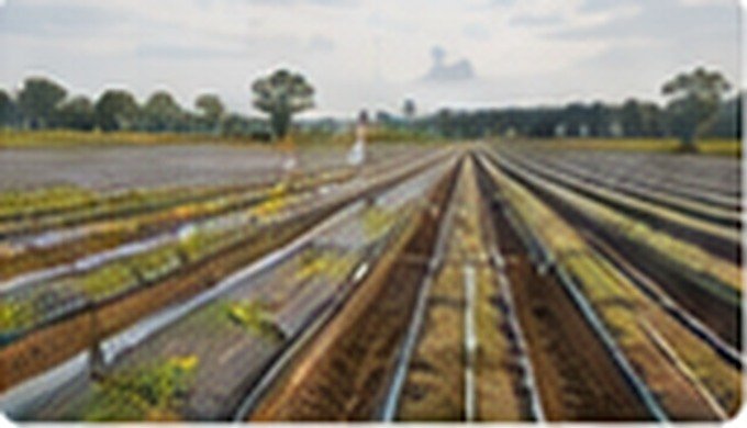 Drip Irrigation Project